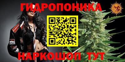 хмурый Нарткала